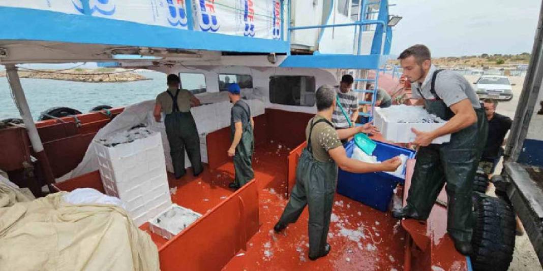 ‘Vira Bismillah’ denildi, sezon açıldı! 24 saatlik deniz yolculuğu başladı: 1 ay sonra fiyatlar düşecek 5